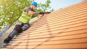 Best Roof Maintenance and Cleaning  in Harbor Springs, MI