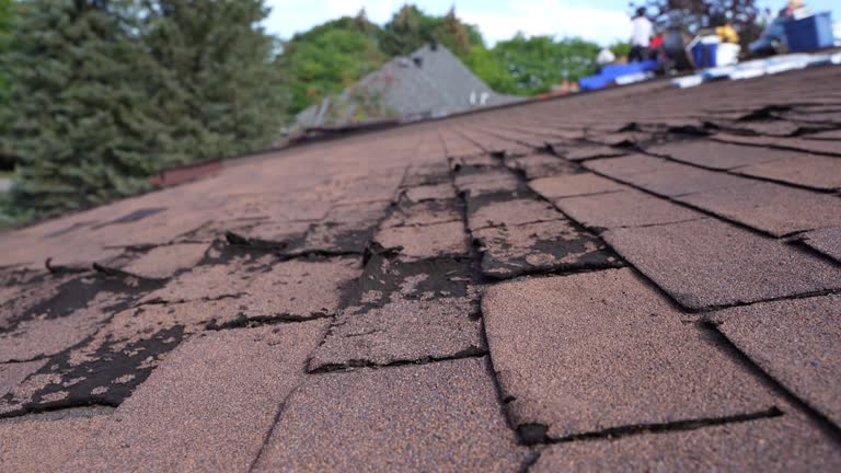 Roof Coating Services in Harbor Springs, MI