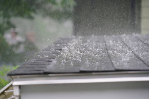 Best Roof Ventilation Installation  in Harbor Springs, MI